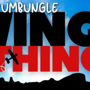 Warrumbungle Wings & Things