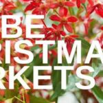 Glebe Christmas Market