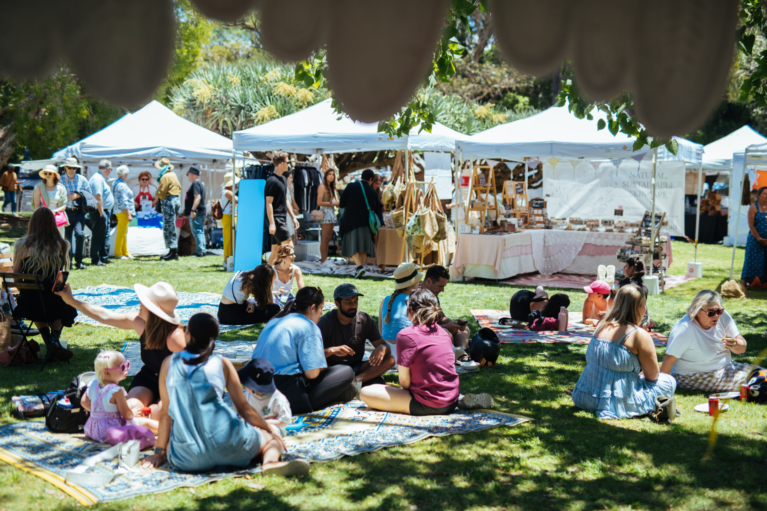 The Olive Tree Market